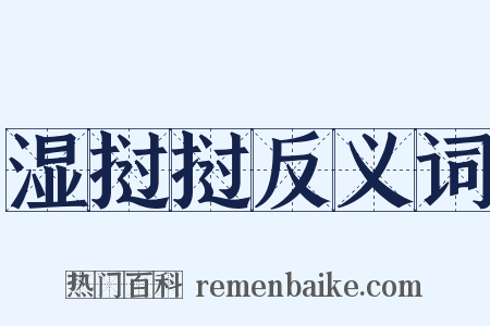 湿挝挝反义词是什么意思的图片